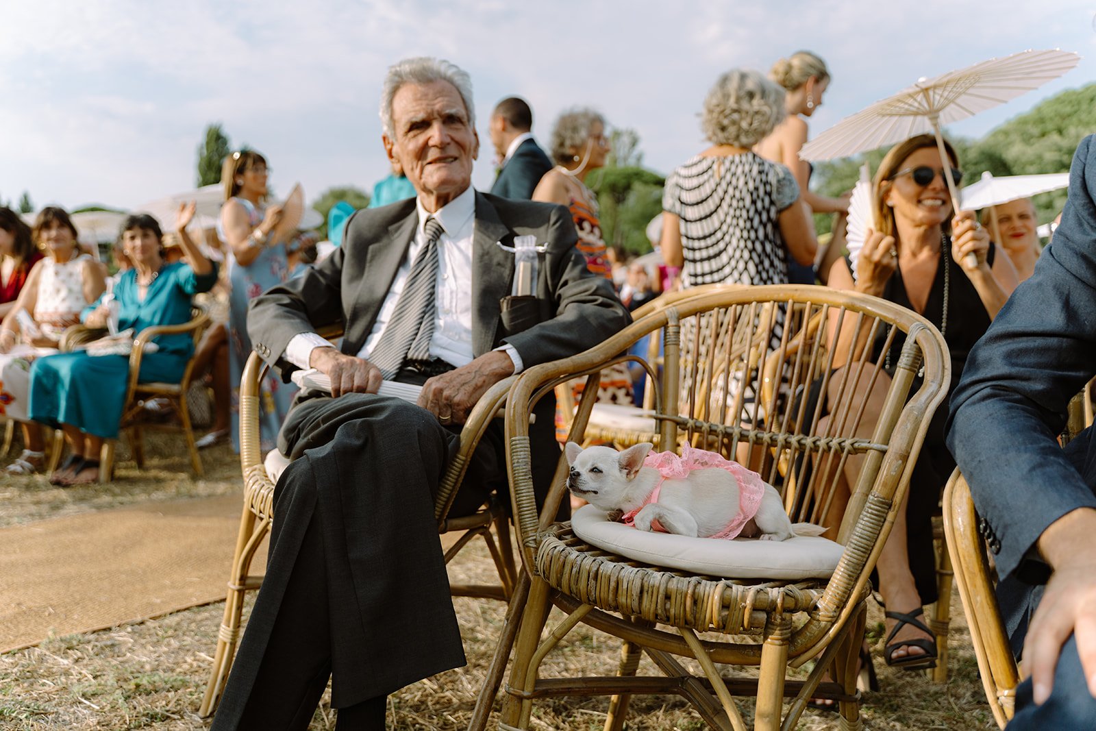 An elderly man in a suit sitting on a wicker chair with a small white dog in a pink dress on a cushion. The scene is outdoors with a crowd of people in the background, some using umbrellas and wearing colorful dresses.