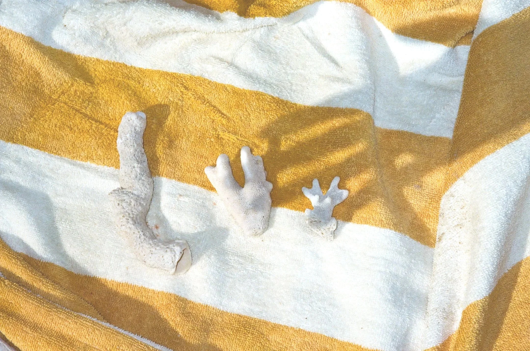 Close-up of a white and yellow striped towel with white coral pieces resting on top.