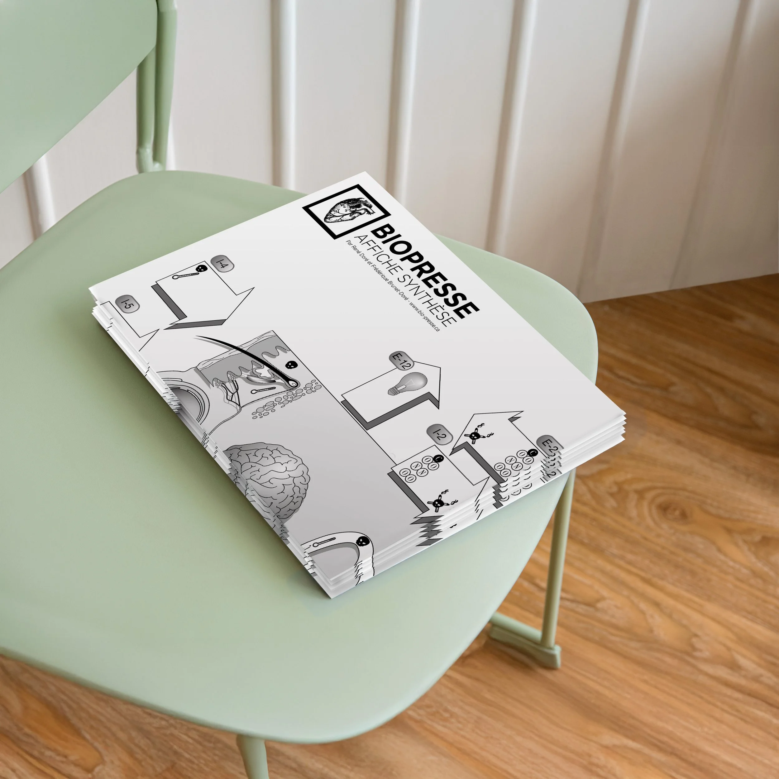 Lot de 10 affiches synthèse Biopresse