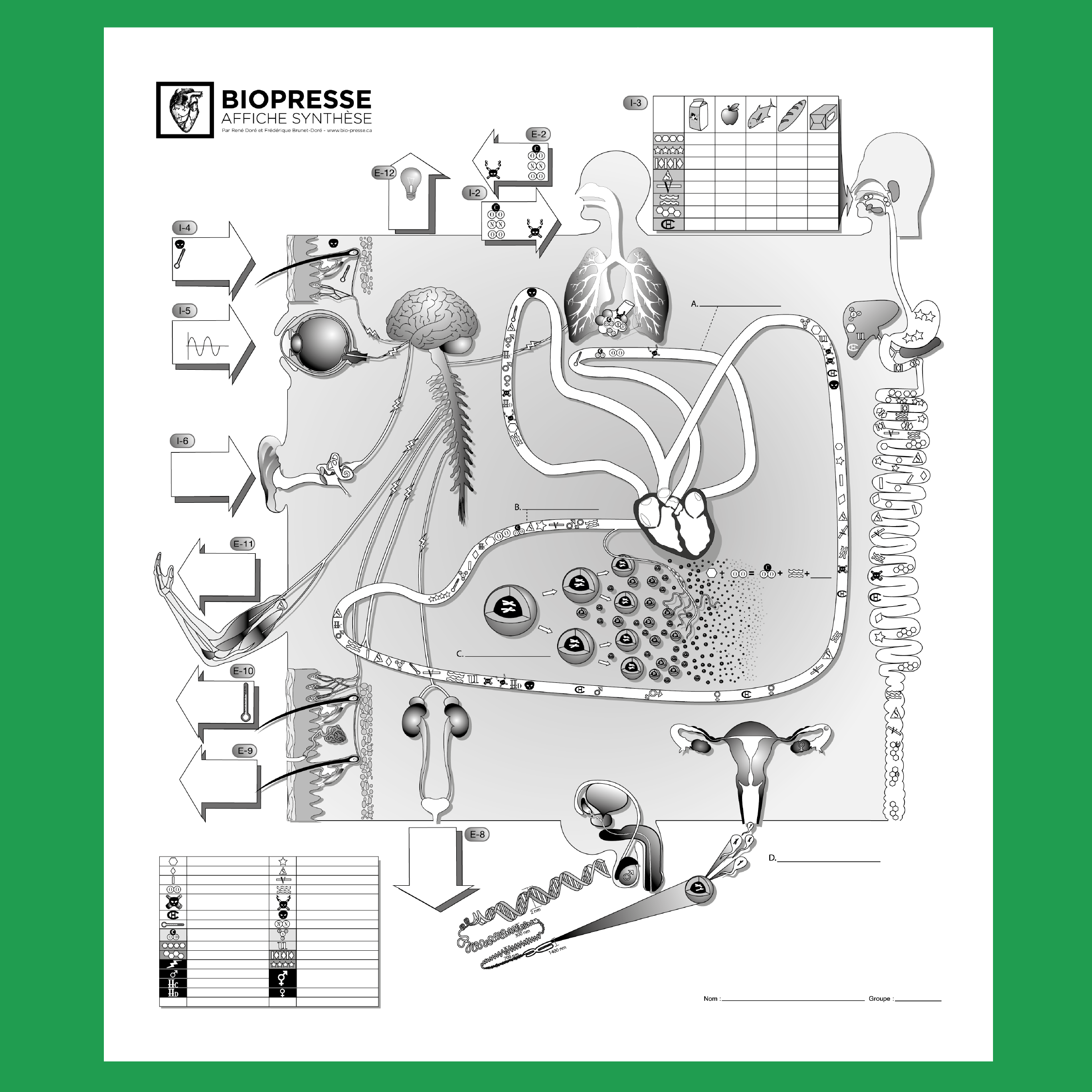 Affiche_Biopresse_Recto.png