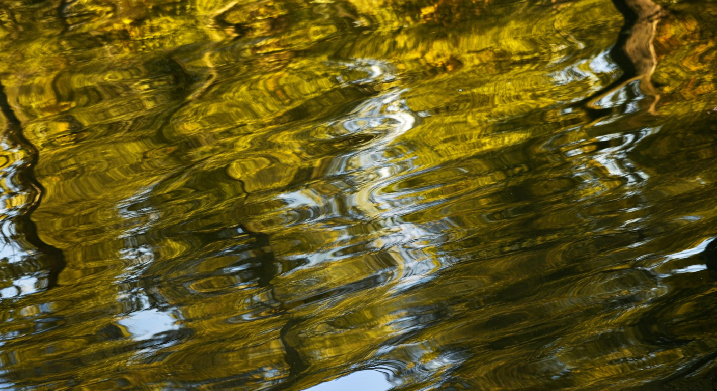 Mindful Preparation Course