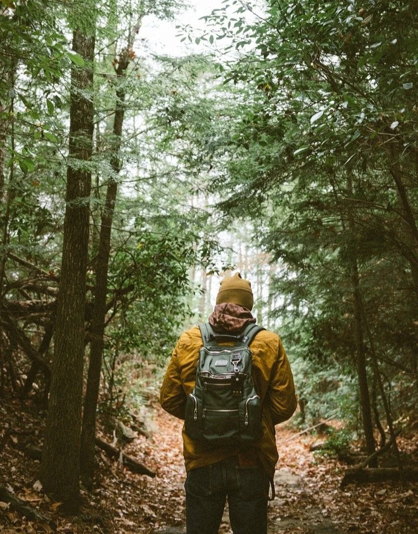 A person hiking on a wooded trail, seen from behind. The person is wearing a yellow jacket, a brown beanie, and carrying a backpack, surrounded by green trees and foliage.
