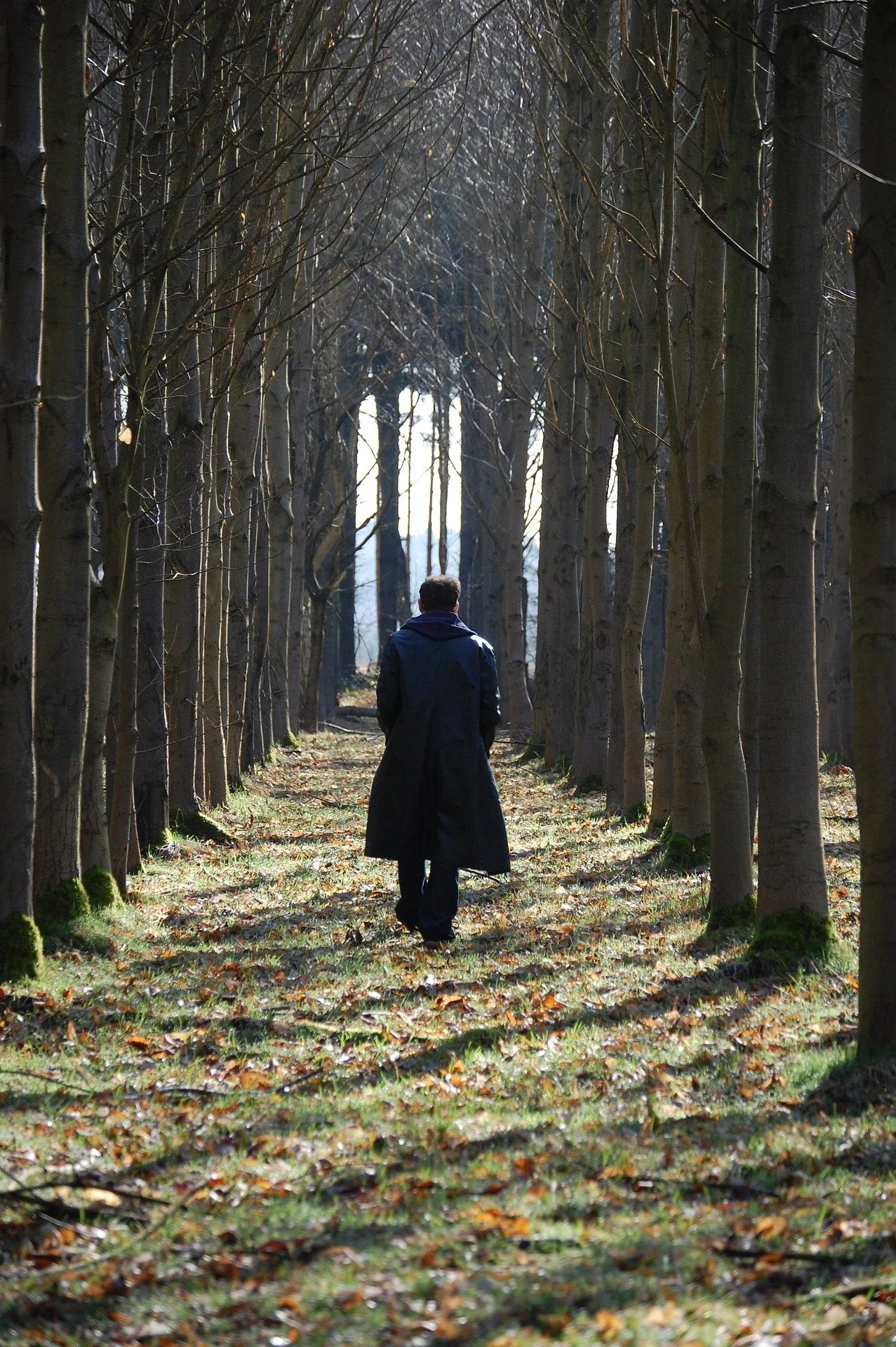 A person walking through a wooded area with a path lined by tall, leafless trees, during late autumn or early winter.