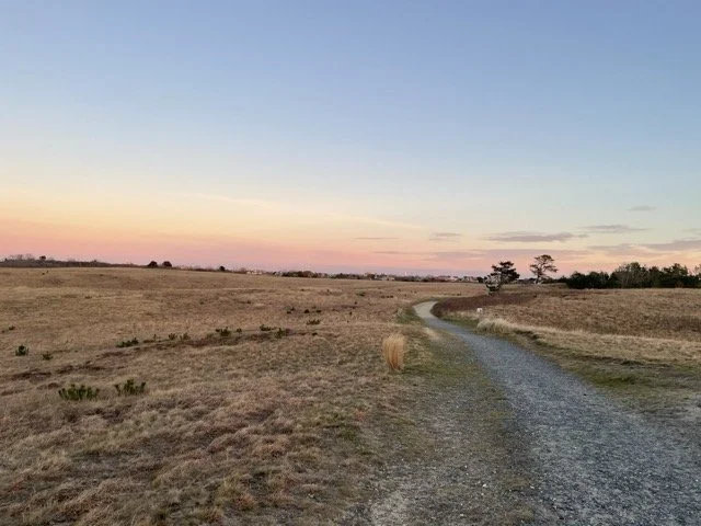 Nantucket's Sanford Farm winding paths and open grassy fields under a sunset sky with scattered clouds.