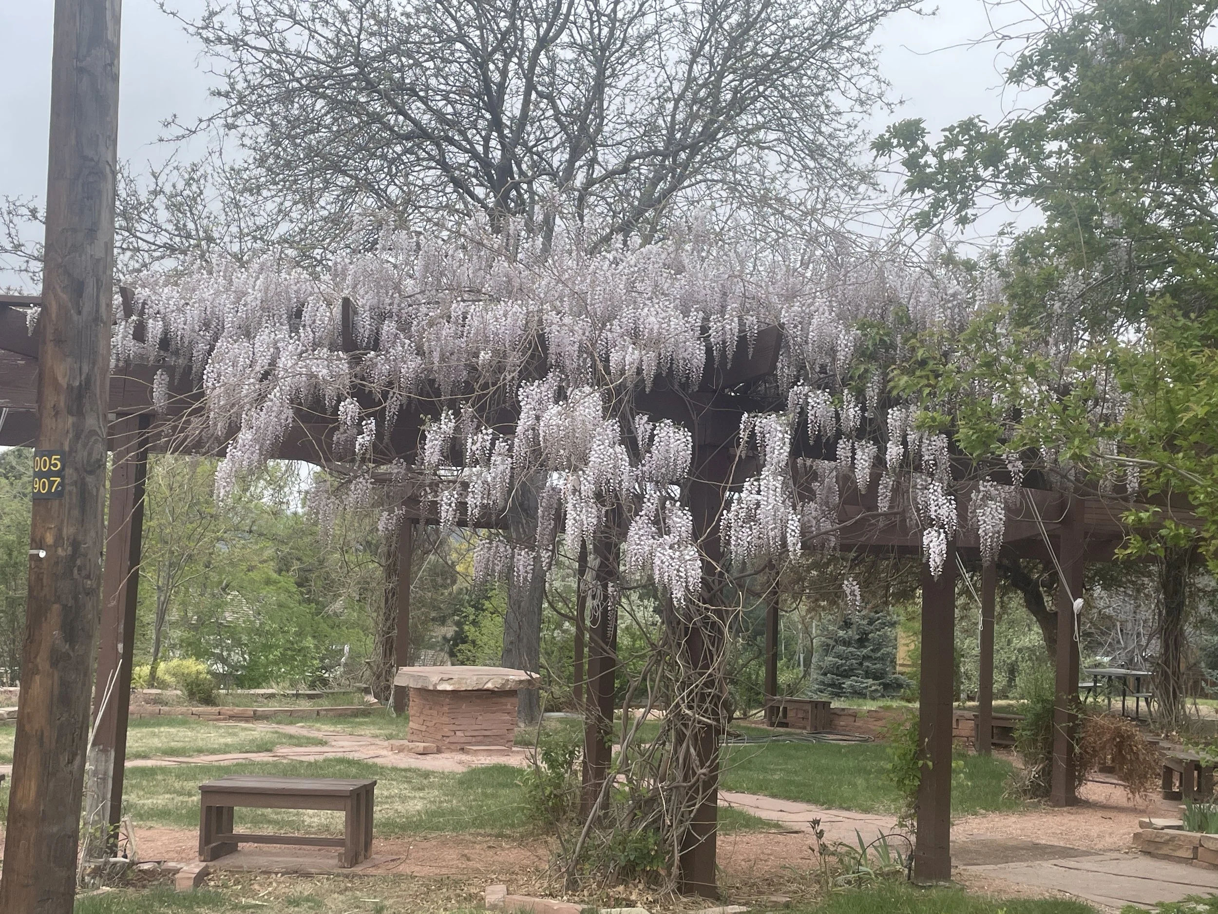 Spring Cleanup and Planting
