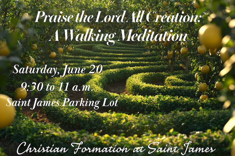 Praise the Lord, All Creation: A Walking Meditation