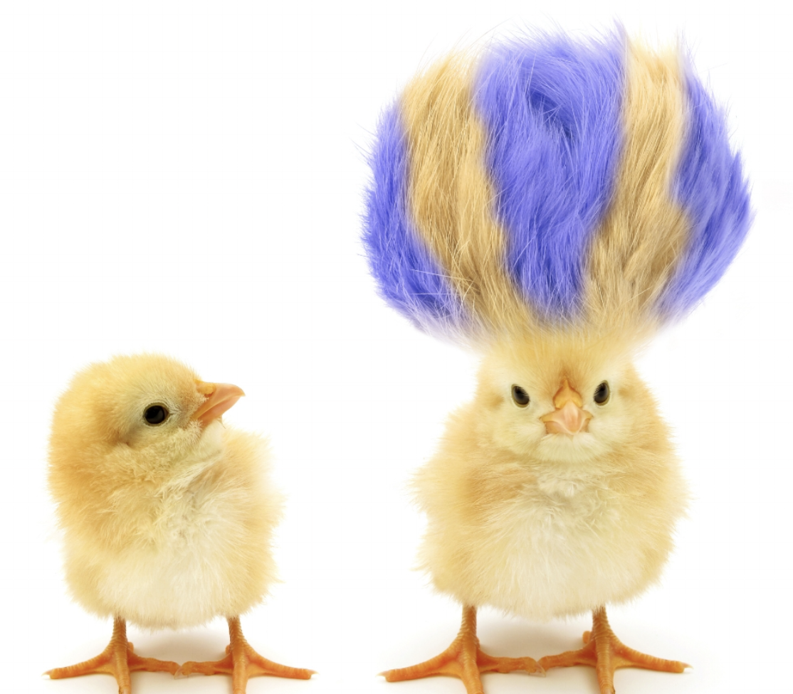 How To Personalize Your Marketing Through Behavior Design