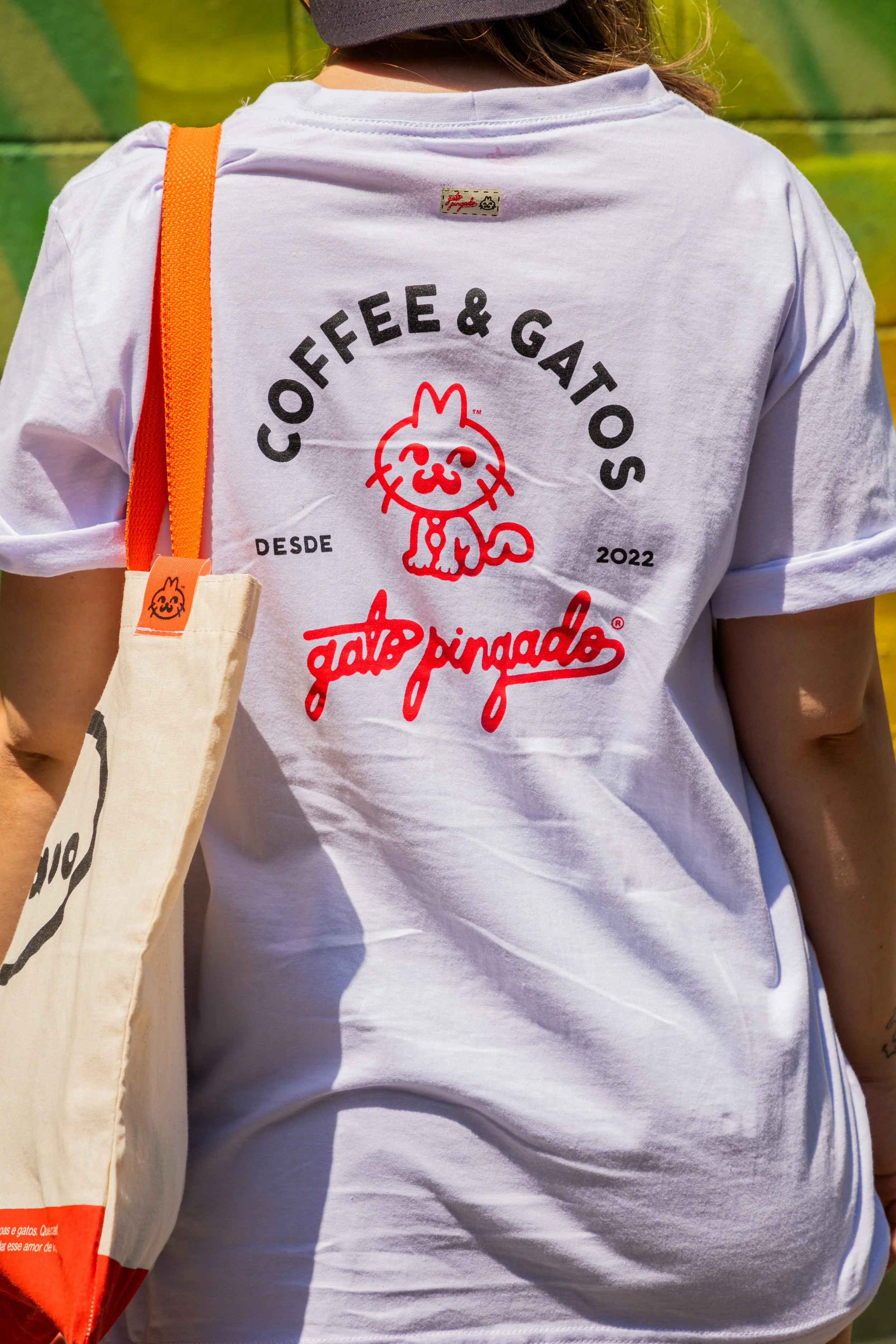 2023-09-23-GATO PINGADO-EM ALTA-050.JPG