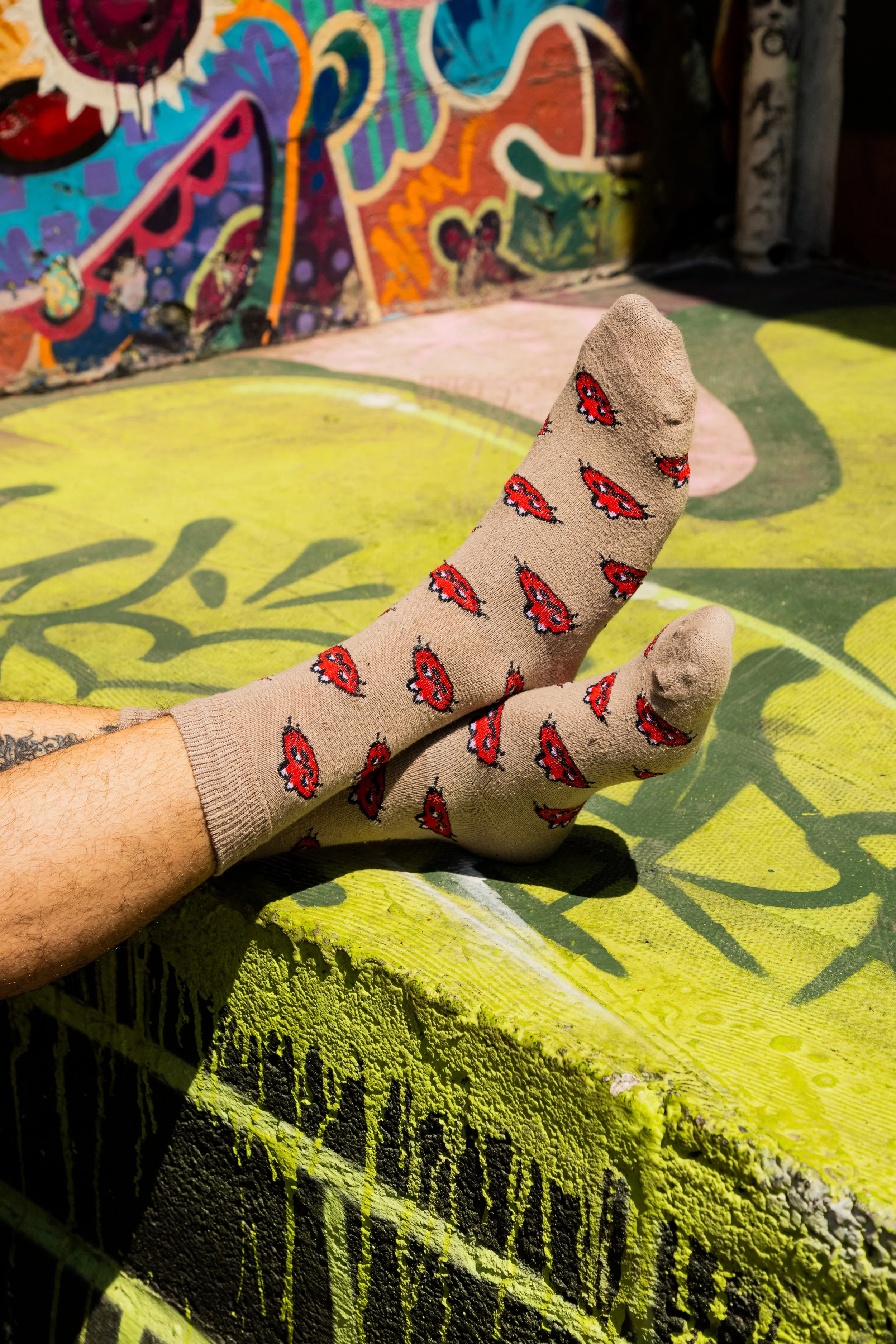 2023-09-23-GATO PINGADO-EM ALTA-069.JPG