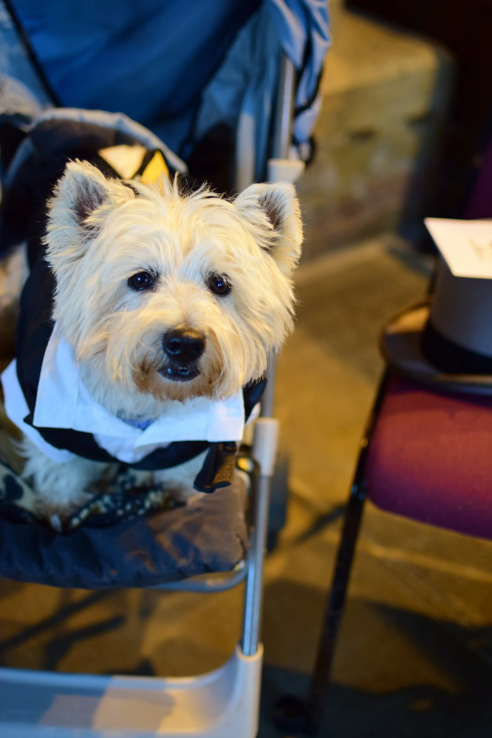 Photo 20-07-2023, 15 16 16 (1).jpg