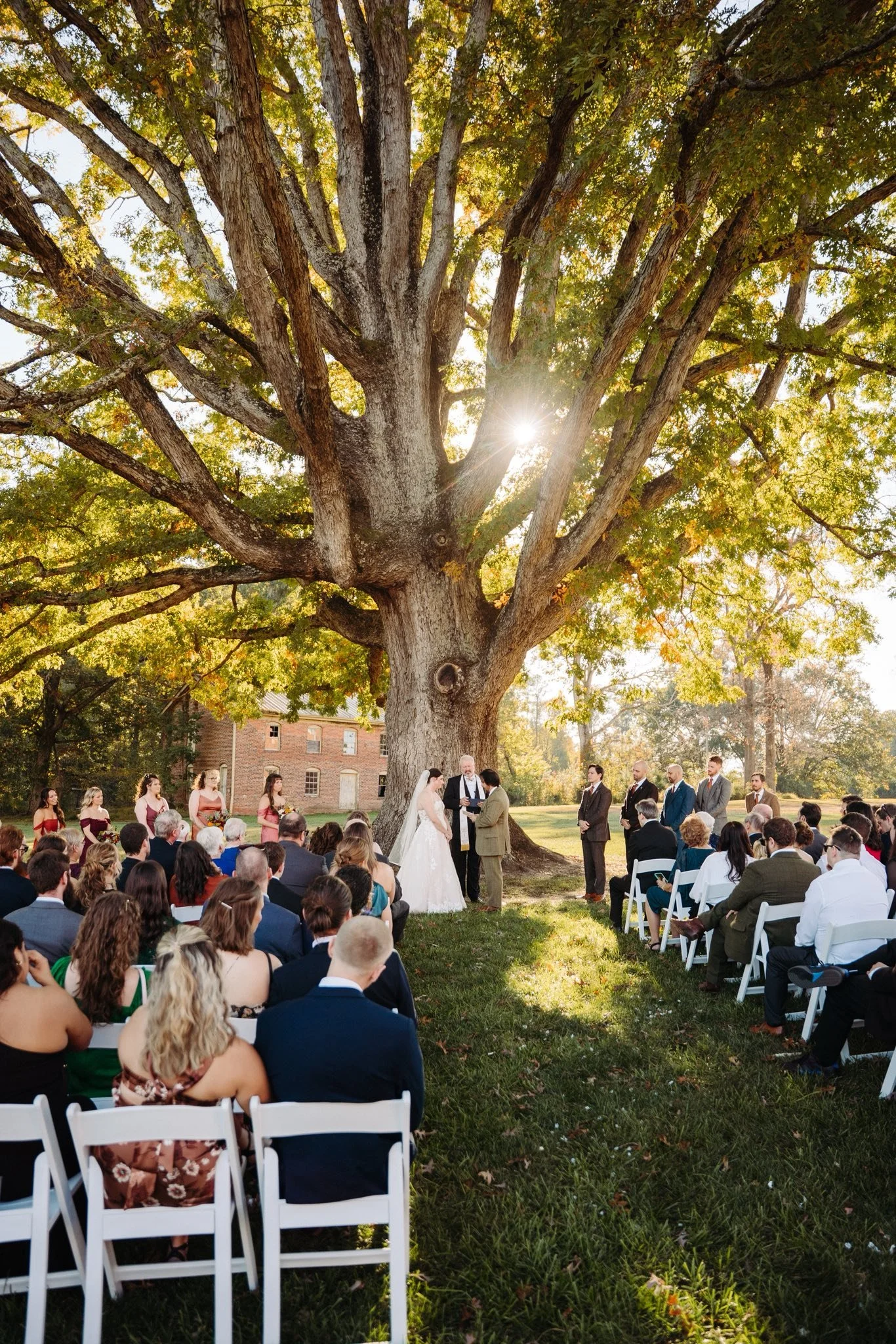Outdoor wedding ceremony under a large tree with sunlight shining through the leaves, officiant and bride and groom exchanging vows, surrounded by bridesmaids and groomsmen, guests seated on white chairs.