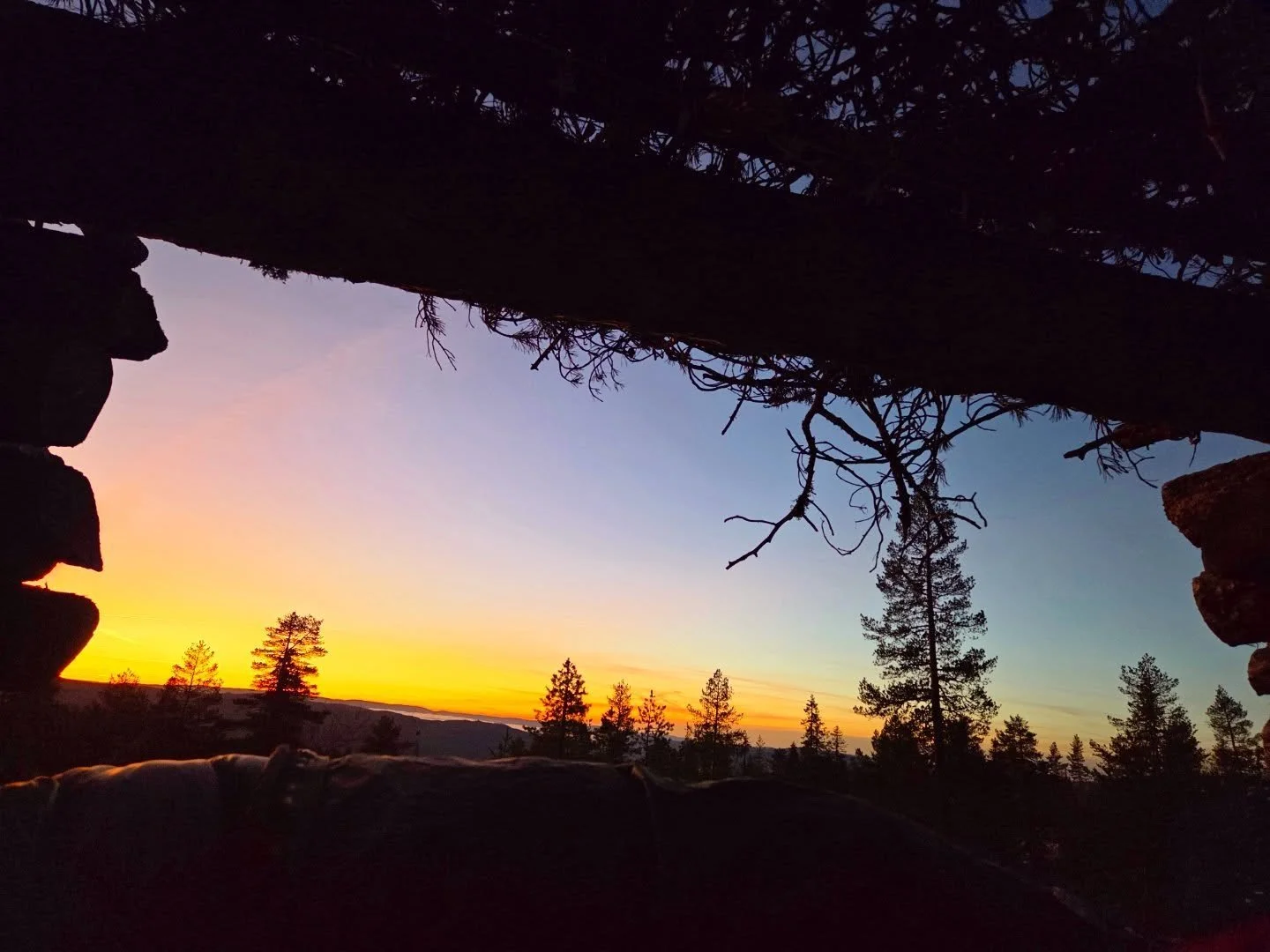 Stemningsbilder fra overnattinga oppi skogen🎄