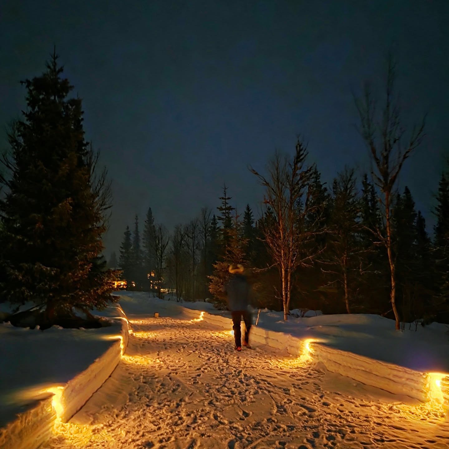 Litt annerledes nytt&aring;rsaften enn planlagt for v&aring;r del, men vi koser oss p&aring; hyttetur n&aring;🎉. Rago og Jonas har stortrivdes i telt p&aring; fjellet noen dager. P&aring; vei ned for &aring; m&oslash;te Elise og Freia ble det en kol