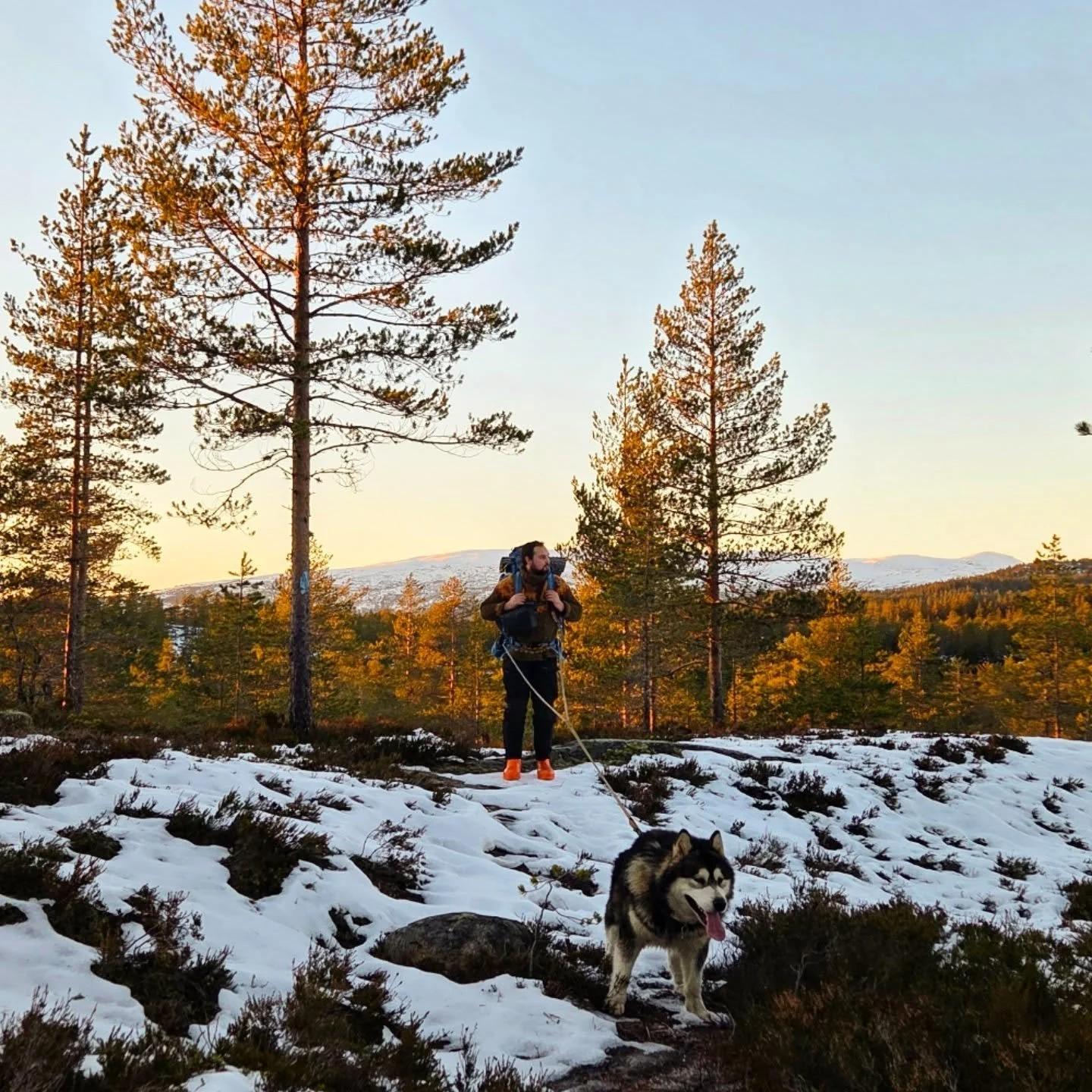 Trenger ikke dra s&aring; langt for &aring; komme seg ut p&aring; tur, rett bak huset er mer enn bra nok😍
❄️20.desember❄️ 
.
.
.
#tur #ute #dog #love #malamute