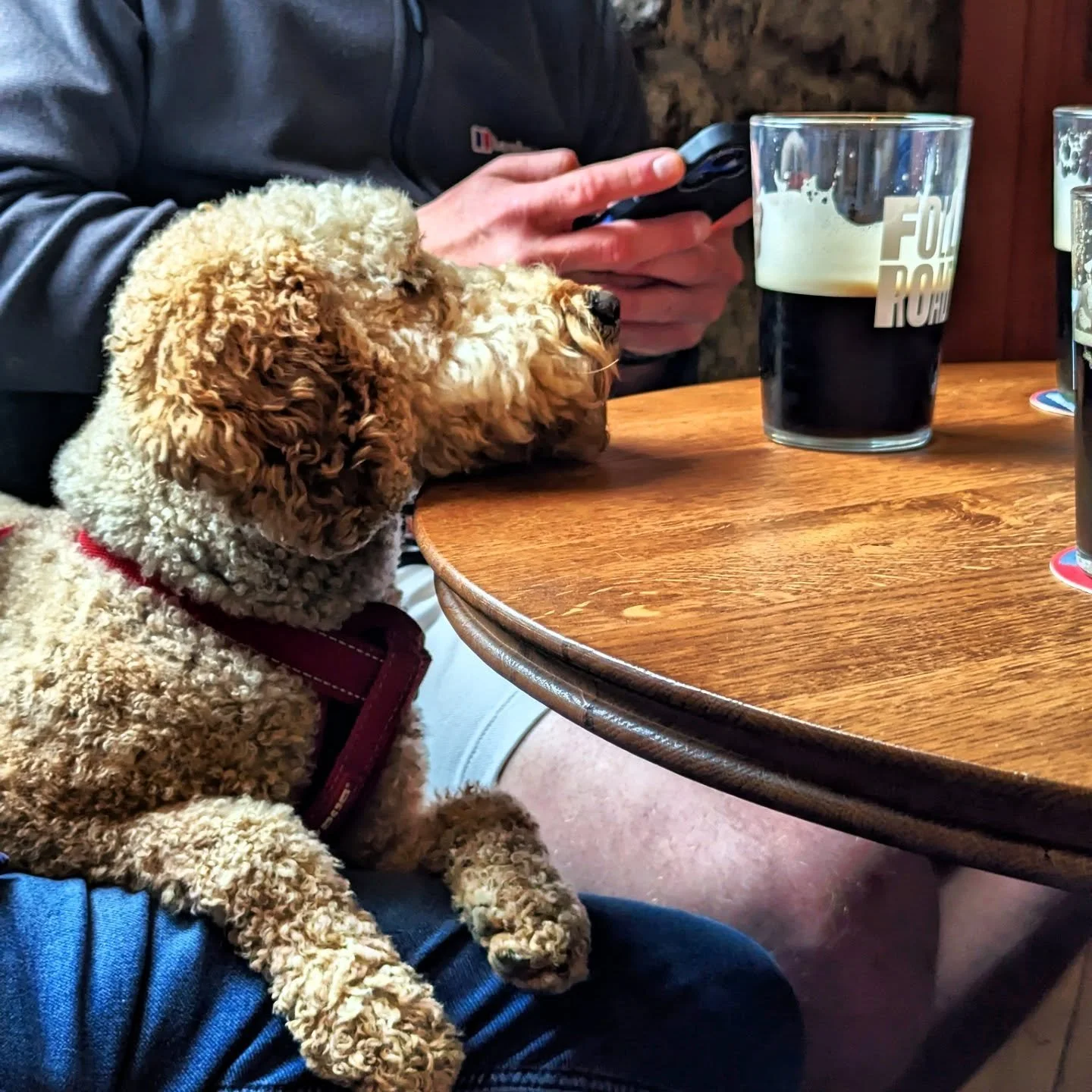 Longing till Friday to visit the pub? Why wait! 💃

We are open till 10pm, today &amp; tomorrow! 

The kitchen may be closed, but the bar is fully stocked and ready to go! 🍷

Bring yourself, a mate or a canine companion for some hump day pints 🍻 

