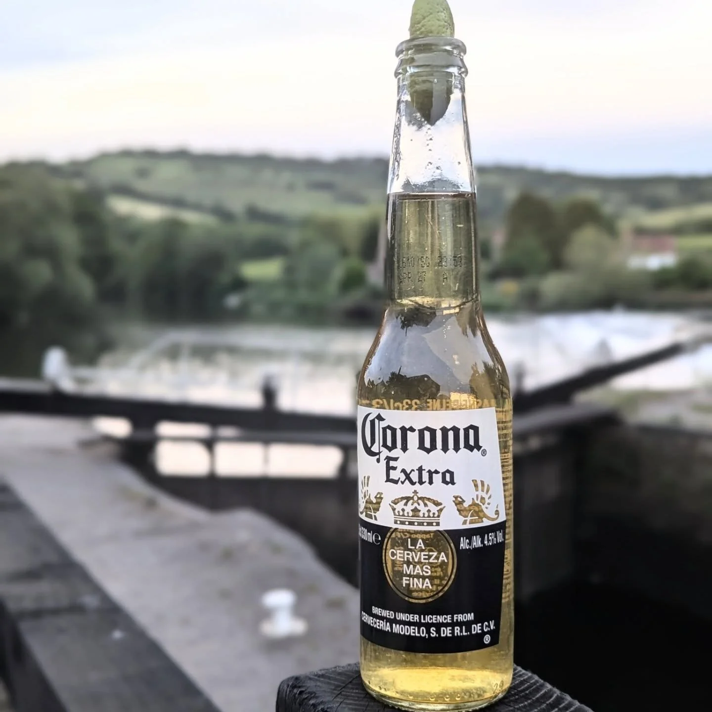 It's giving forget the world and eat tacos 🌮

It's Taco Tuesday @ the Jolly! Crack open a cold @corona and enjoy some authentic gluten free tacos! 

Serving hot and fresh food - 6pm-9pm 🍋&zwj;🟩

Don't let the doom and gloom of the weather dictate 
