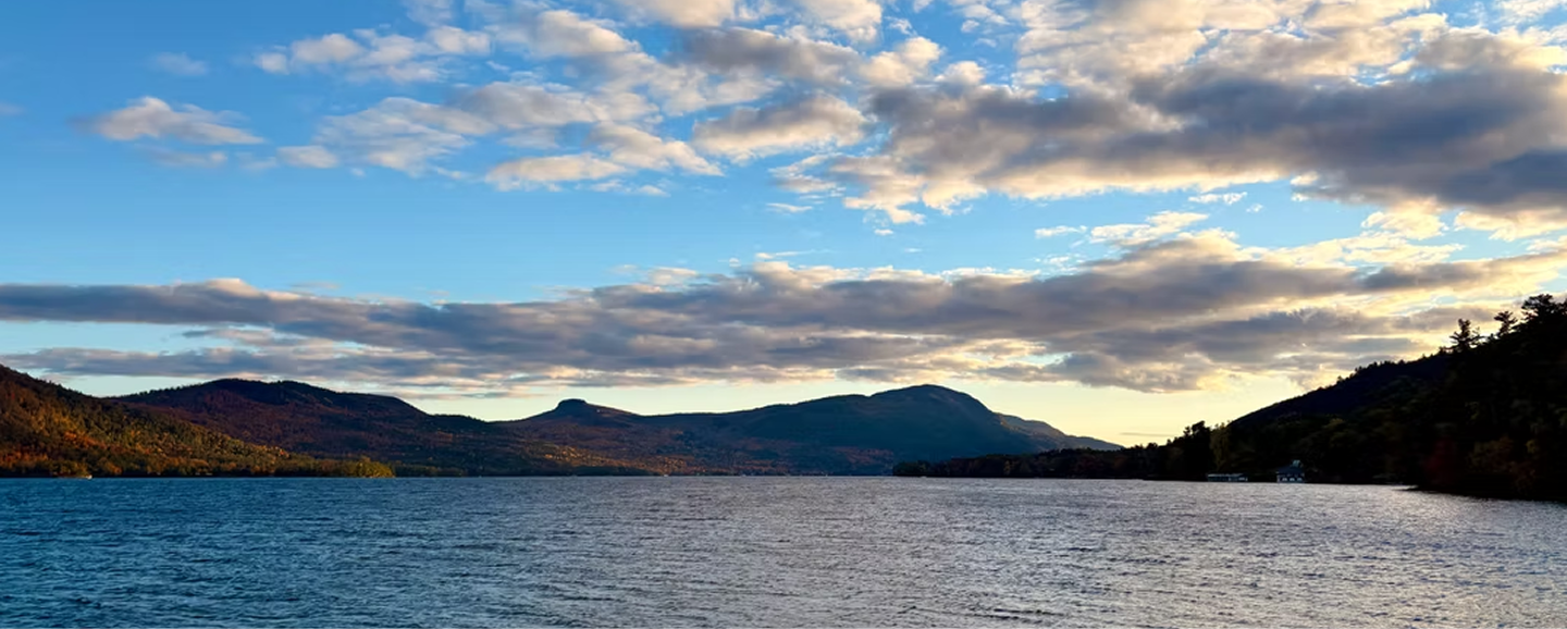 Copy of Copy of SFFACC - Brand Book (17).png