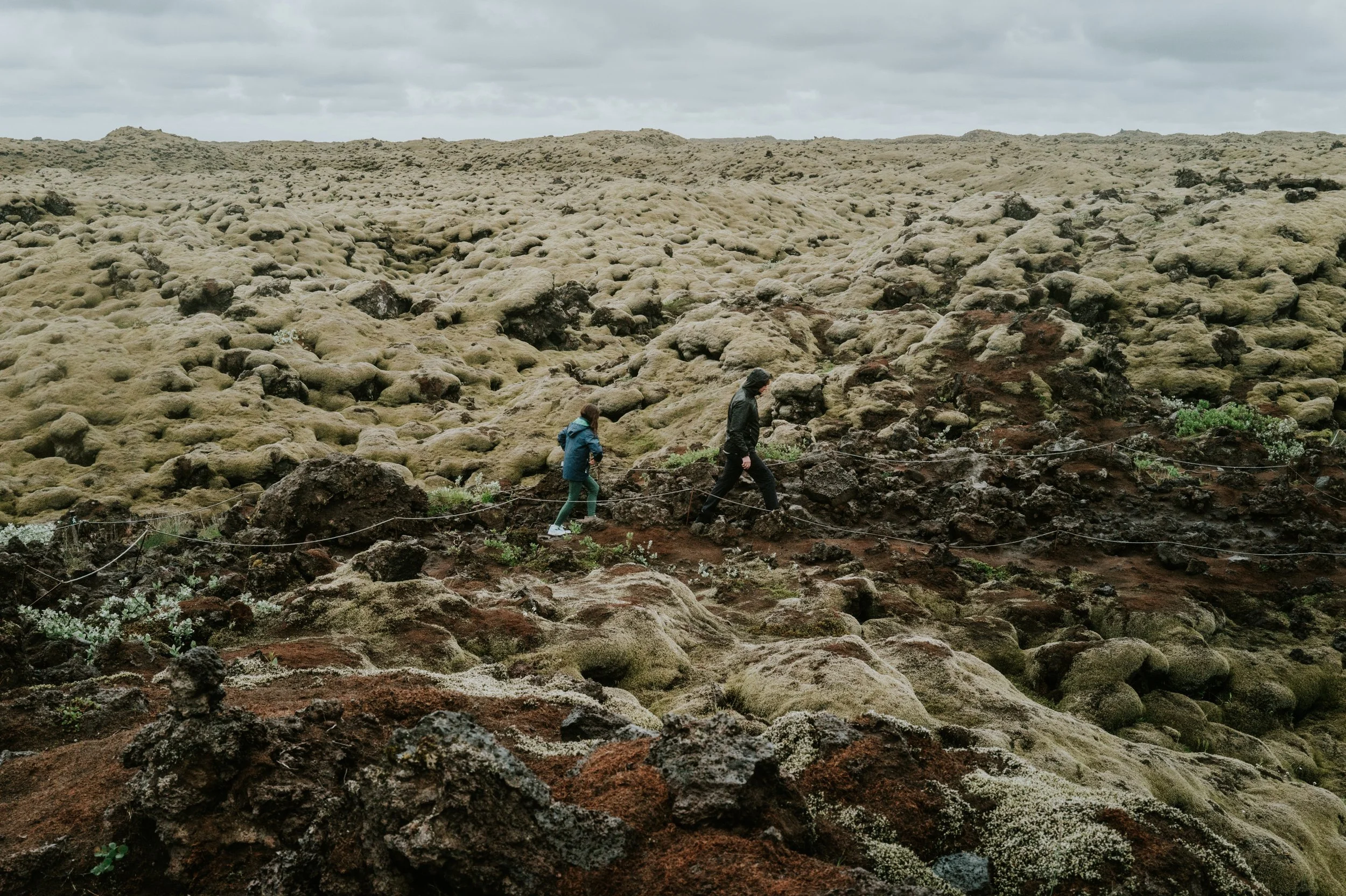 Web-Iceland-2026_008.jpg