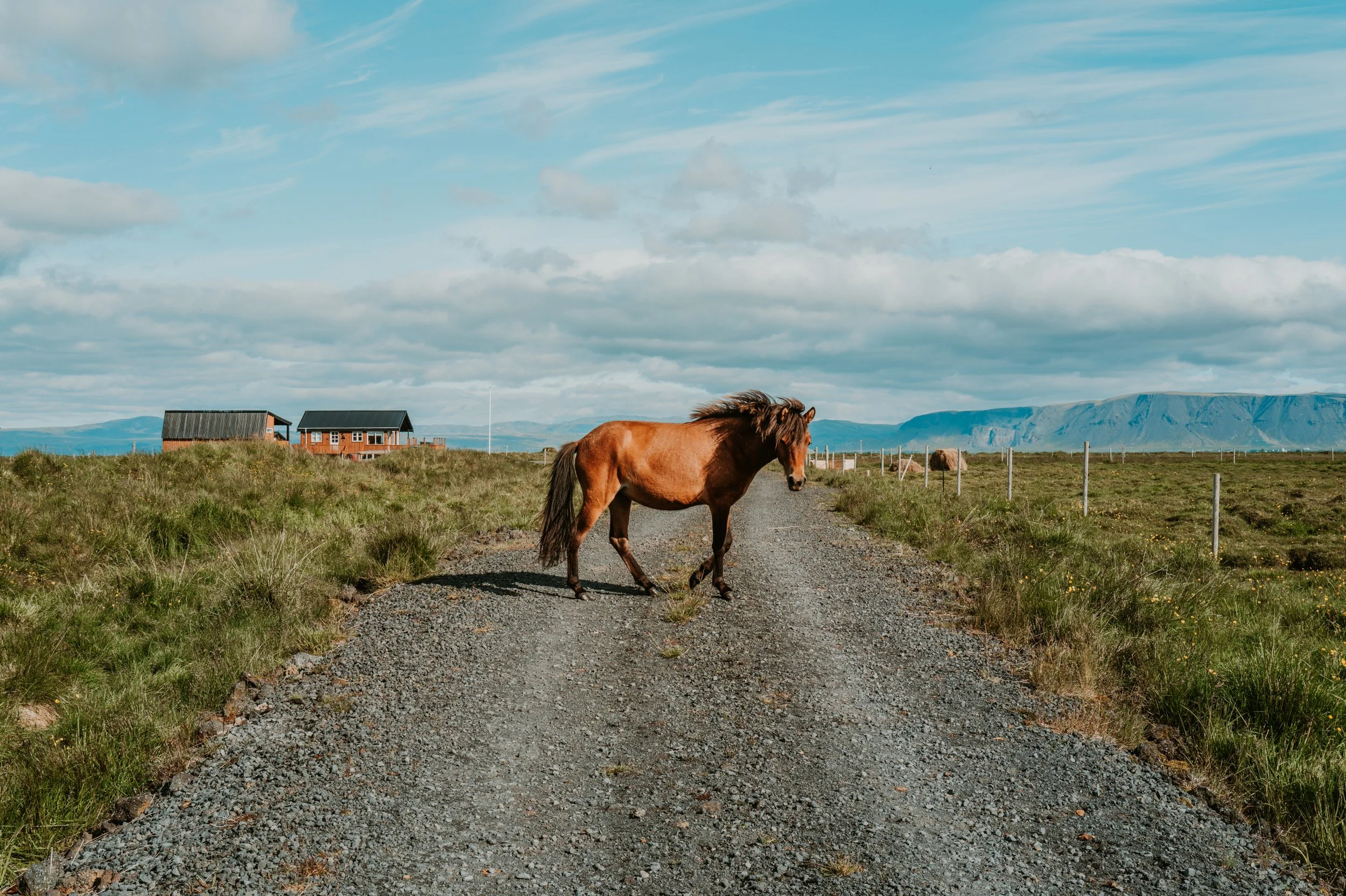Web-Iceland-2026_022.jpg