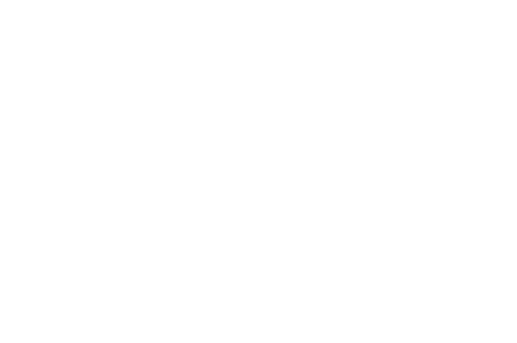 White text on black background reads "Official Selection NewFilmmakers NY 2017," framed by minimalist laurel designs, indicating film festival selection.