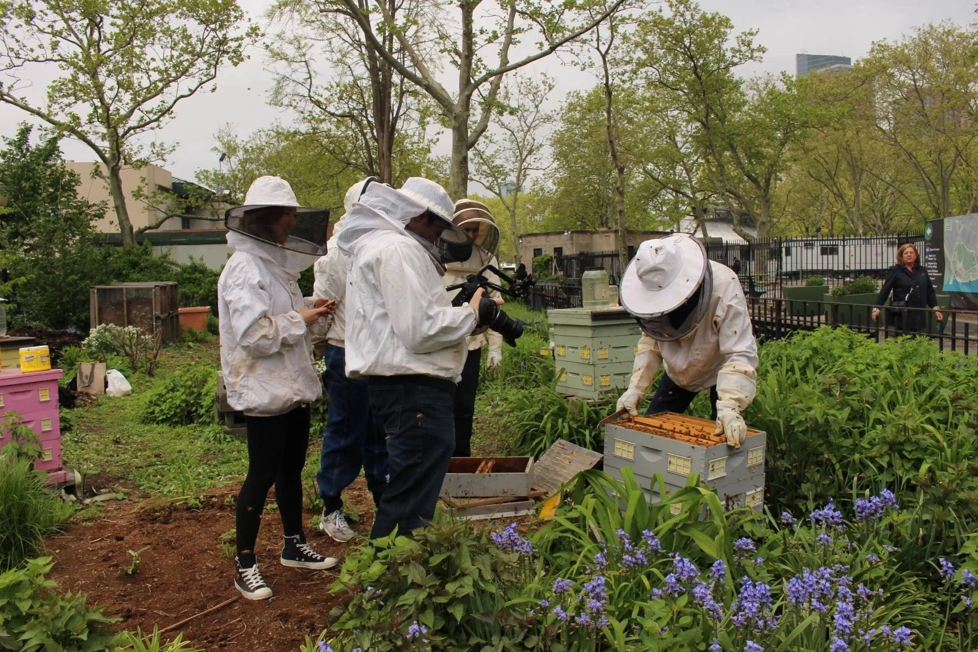 Max Hechtman and Sarang Koo document beekeeping at the Battery Park Conservatory