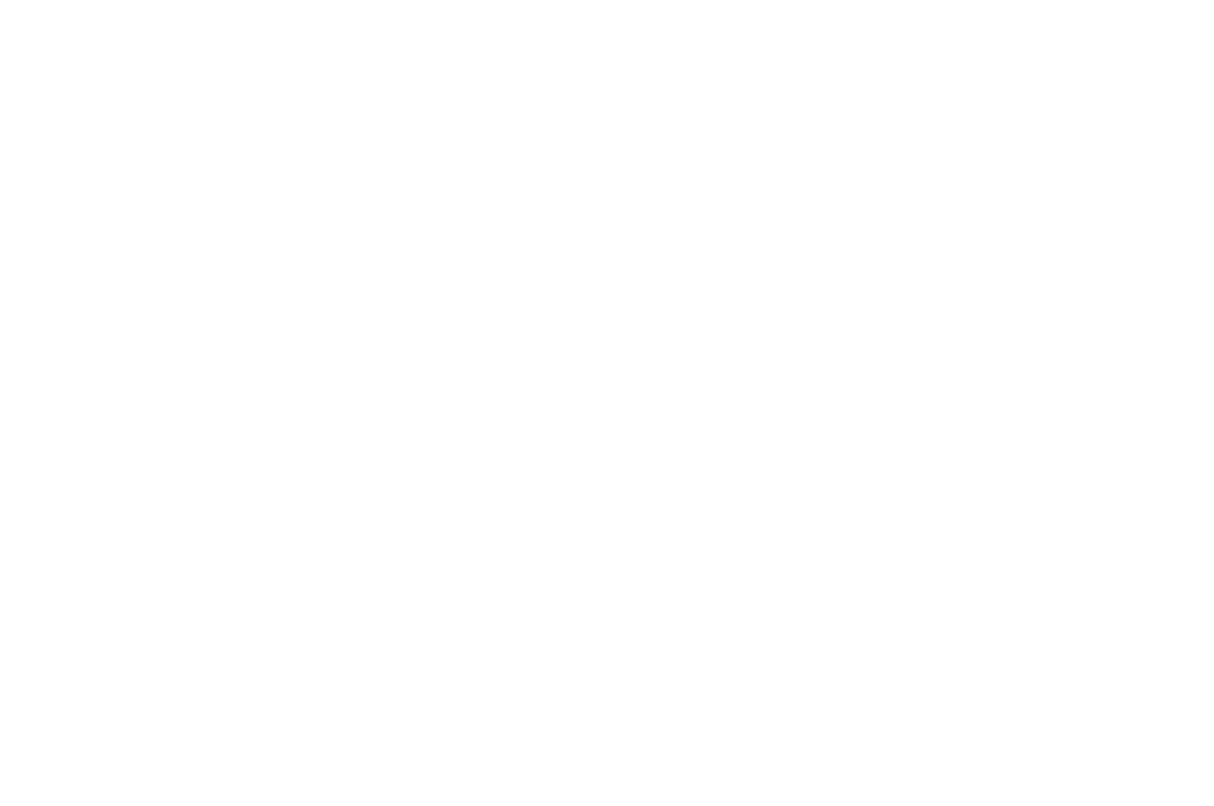 Laurel design on either side with text reading, "Official Selection Long Island International Film Expo 2017" in bold, conveying prestige and recognition.