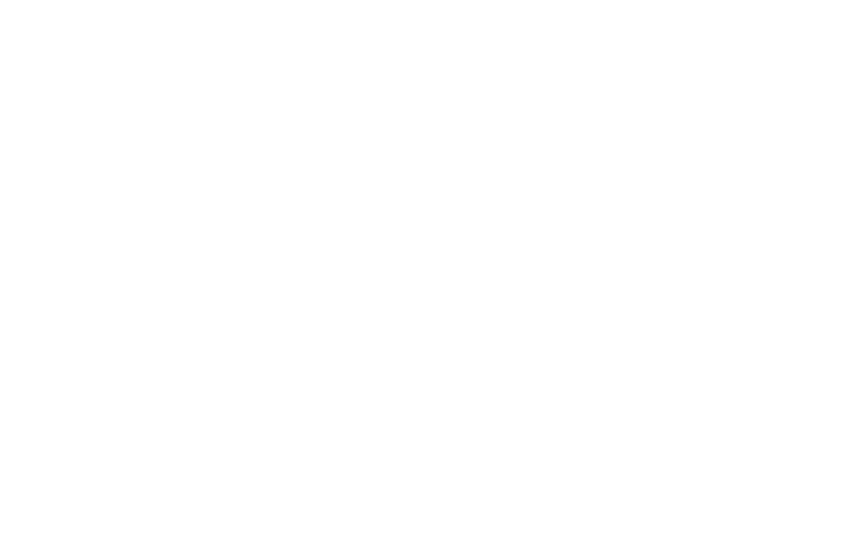 Black background with white laurel graphics on both sides framing the words 'Official Selection Gold Reel Student Film Festival 2017' in bold text.