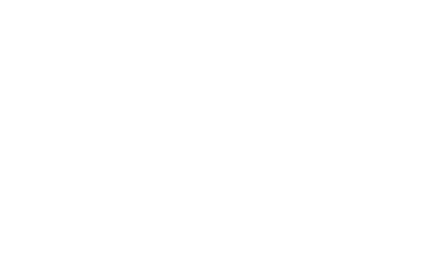 White text on a black background reads "Official Selection, Big Apple Film Festival, 2016," surrounded by decorative laurel graphics, conveying prestige.