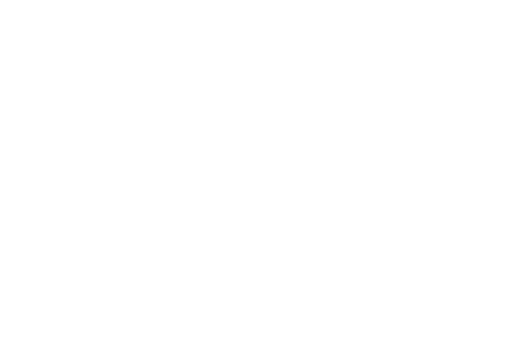Black background with white text reading "Official Selection Long Island International Film Expo 2024" surrounded by laurel leaves, conveying prestige.