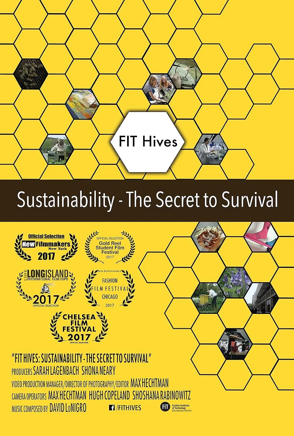 Poster for "FIT Hives: Sustainability - The Secret to Survival" featuring honeycomb patterns, bee images, and several film festival award logos.