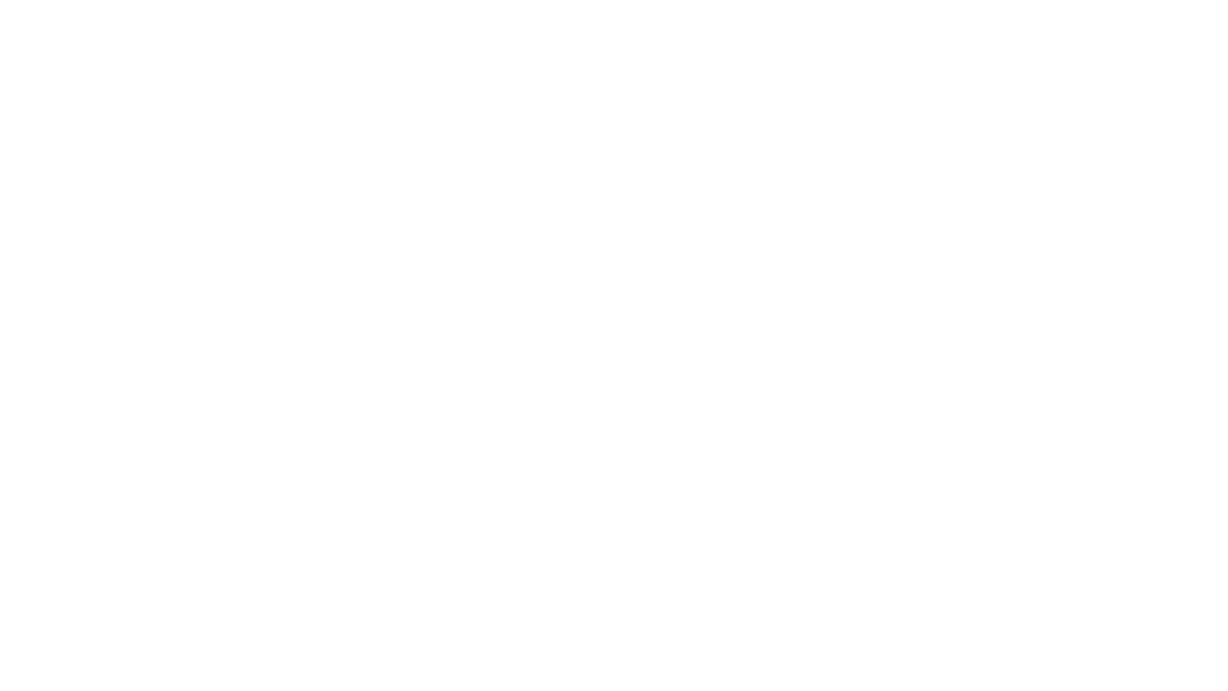 The word 'sEAVieW' written in white text on a black background, with some letters upside down and mirrored.