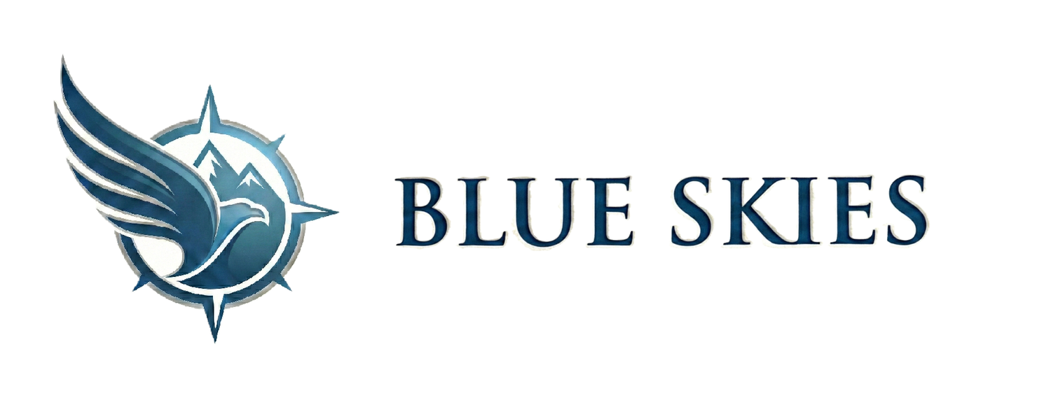 Blue Skies Mentorship