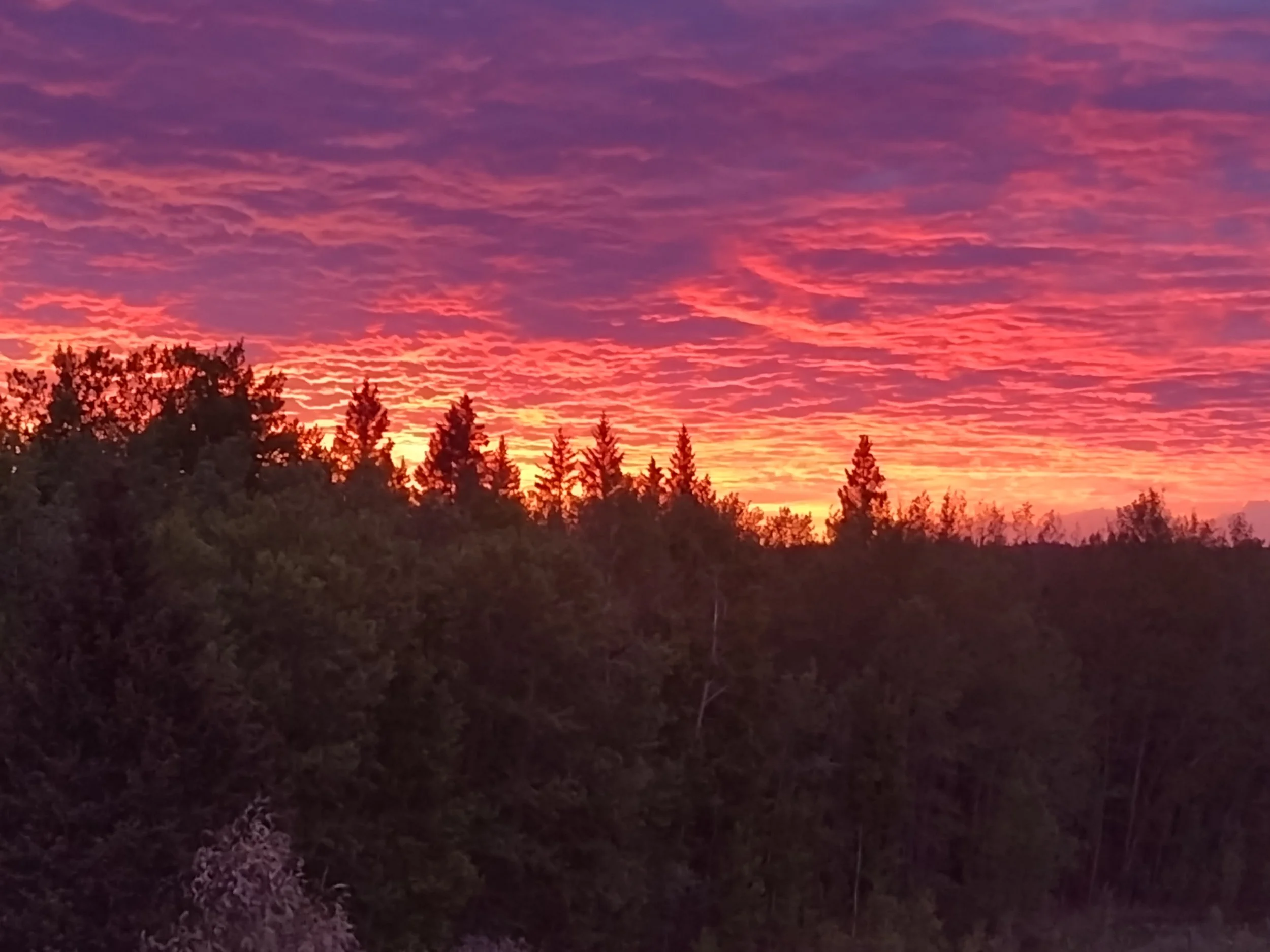 A vibrant sunset sky over a silhouette of trees, with the sky showing shades of purple, pink, and orange.