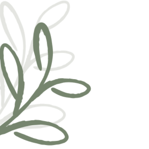 Illustration d'une branche avec des feuilles