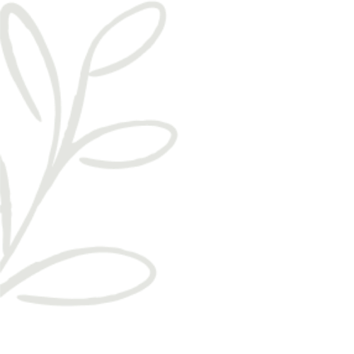 Une illustration minimaliste d'une branche avec des feuilles