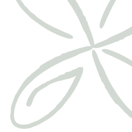 Dessin simple de feuilles de plante stylisées sur fond noir.