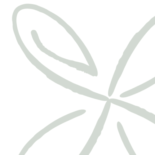 Une illustration minimaliste d'une feuille verte.