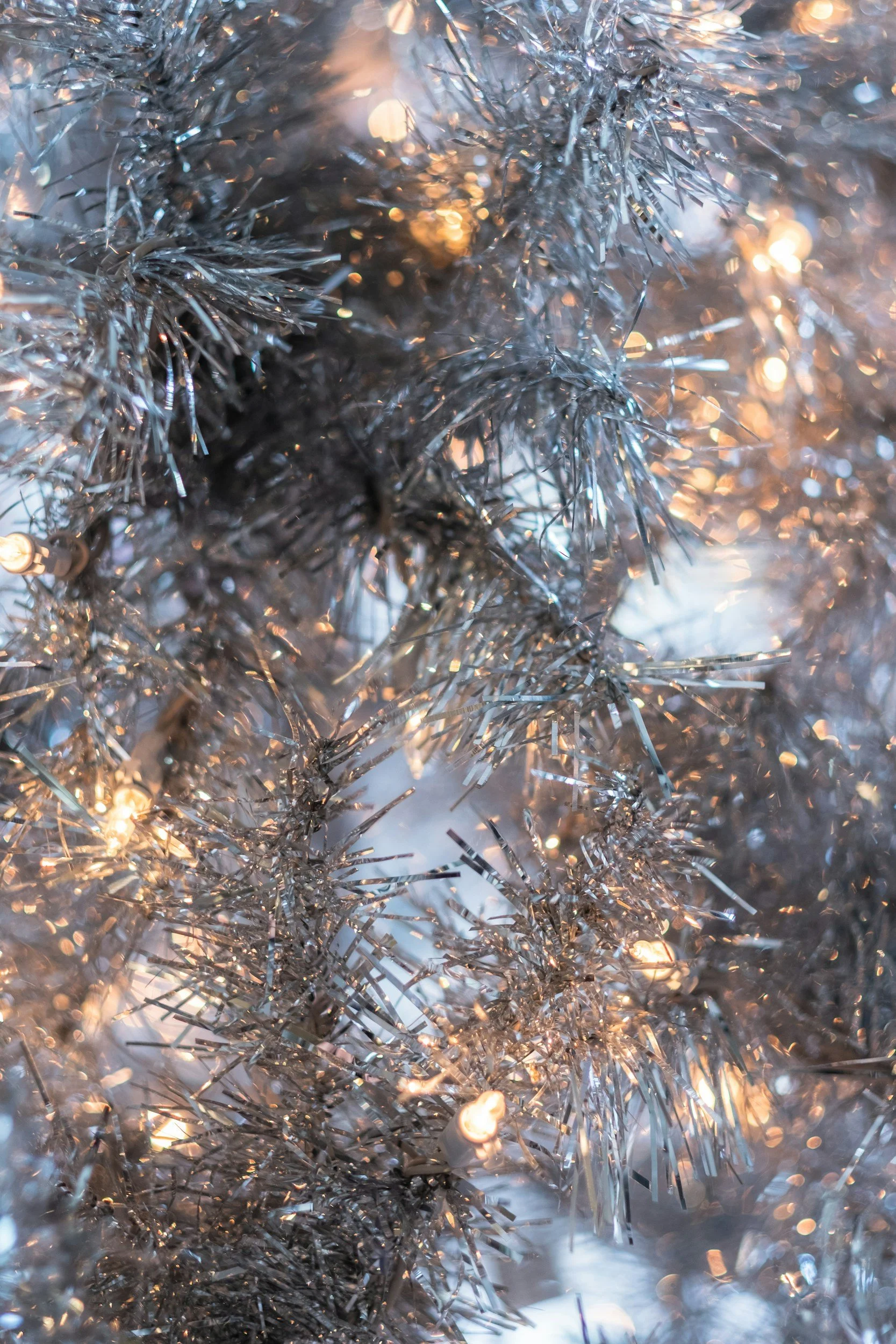 Winter Break: STUDIO CLOSED
