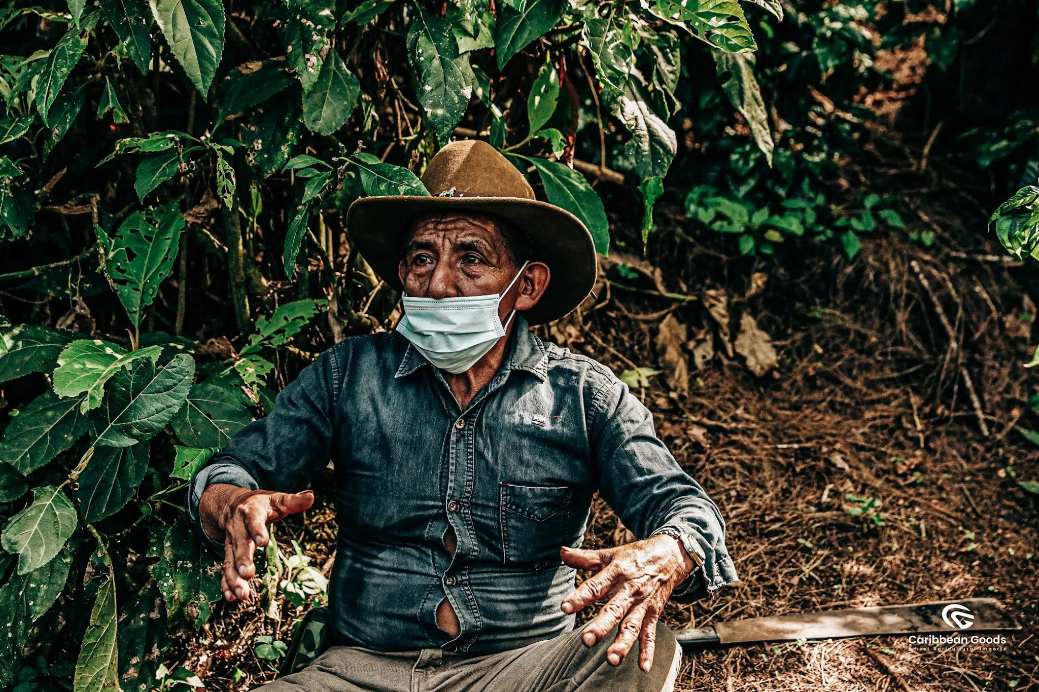 Toll House | Guatemalan Medium Roast