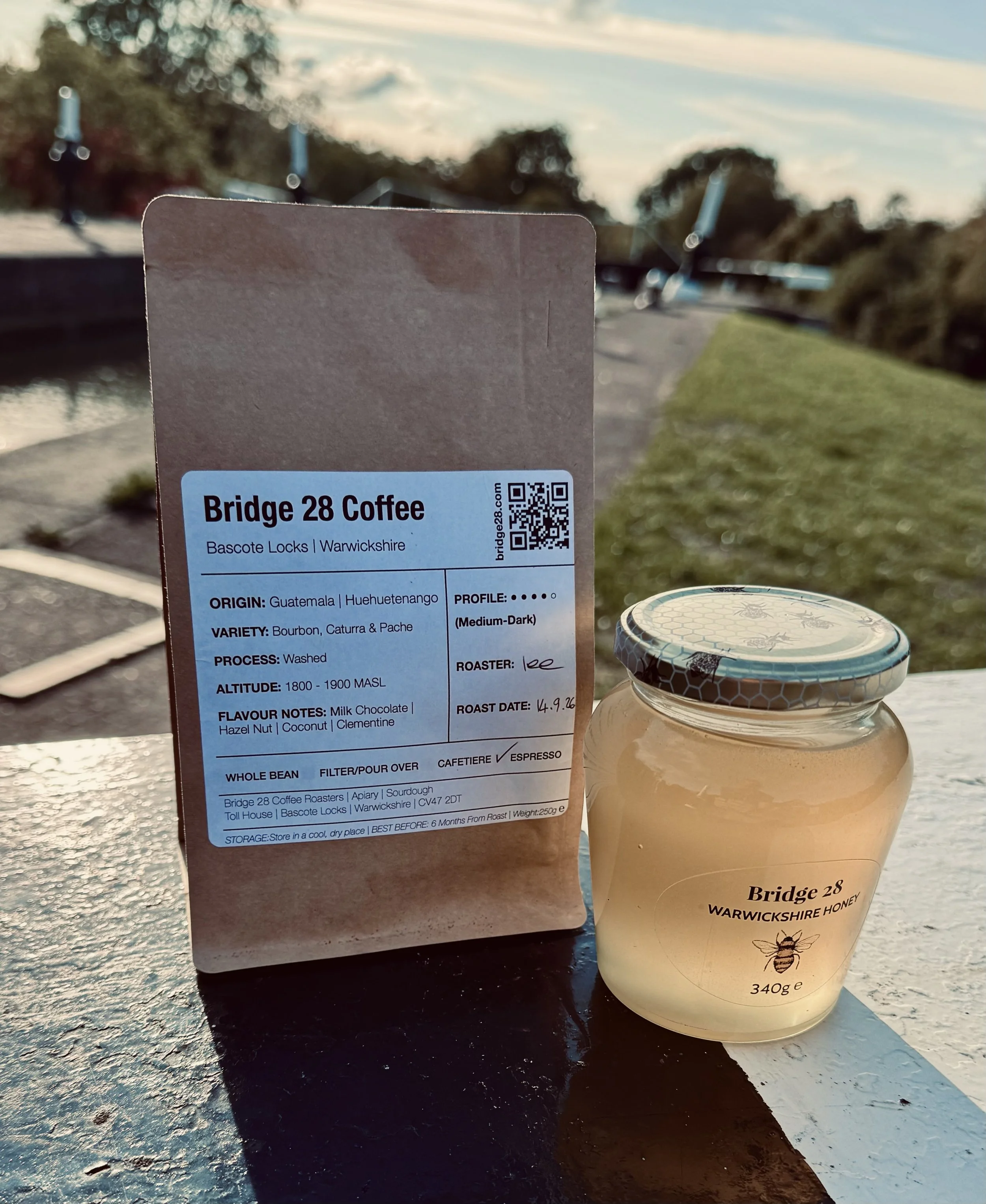 Toll House | Guatemalan Medium Roast