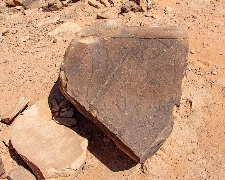 A large, flat rock with ancient petroglyph carvings on its surface, situated on a sandy desert ground.