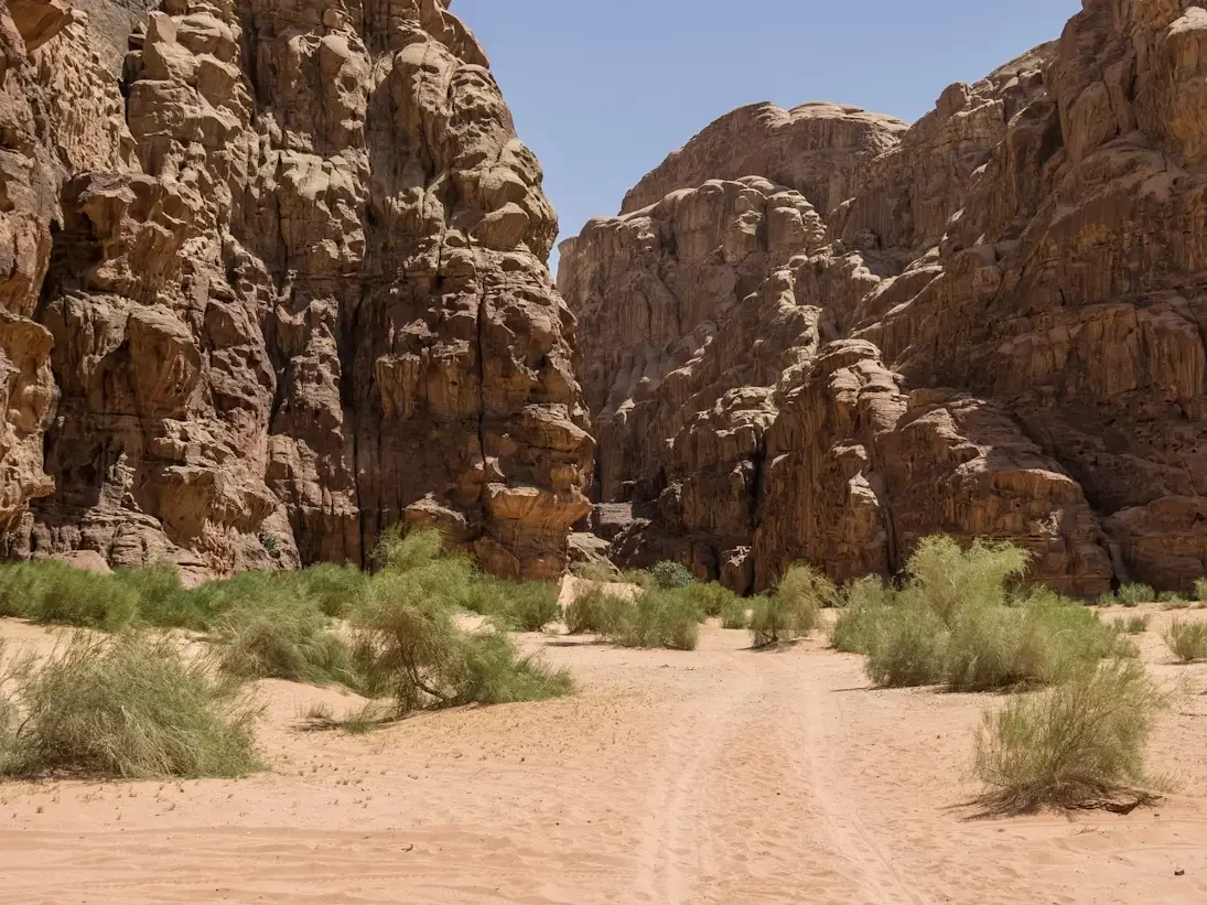 A desert canyon with large rock formations on either side and sparse green bushes on sandy ground under a clear blue sky.