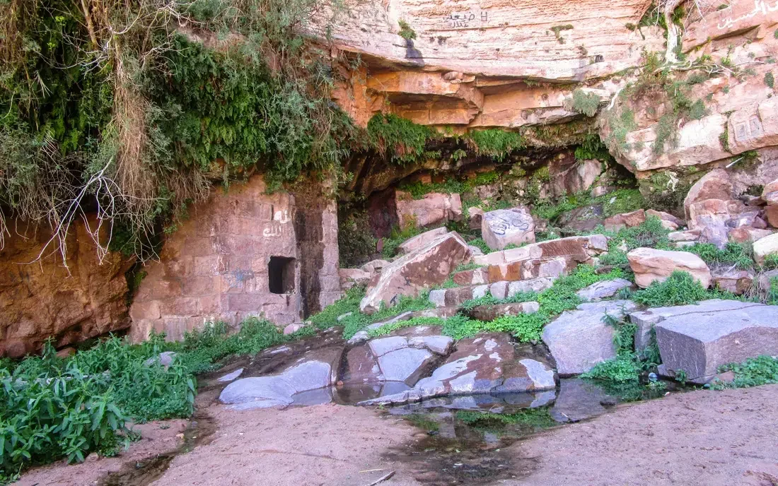 A rocky canyon with a small stream flowing over large boulders, green vegetation, and a sandstone cliff wall in the background.
