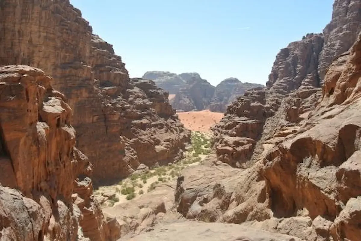 A deep desert canyon with towering red sandstone cliffs on both sides and sparse green vegetation at the bottom, under a clear blue sky.