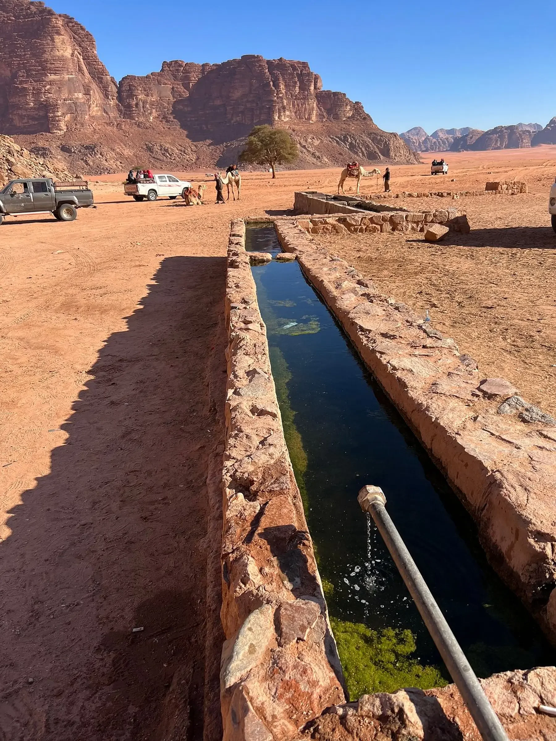 3-Hour Wadi Rum Jeep Tour