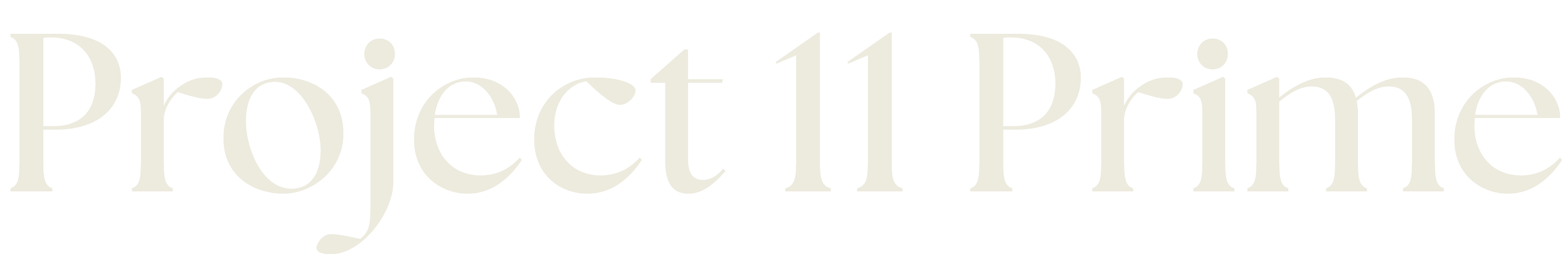Logo van Project 11 Prime met de tekst in grijze letters op een zwarte achtergrond.