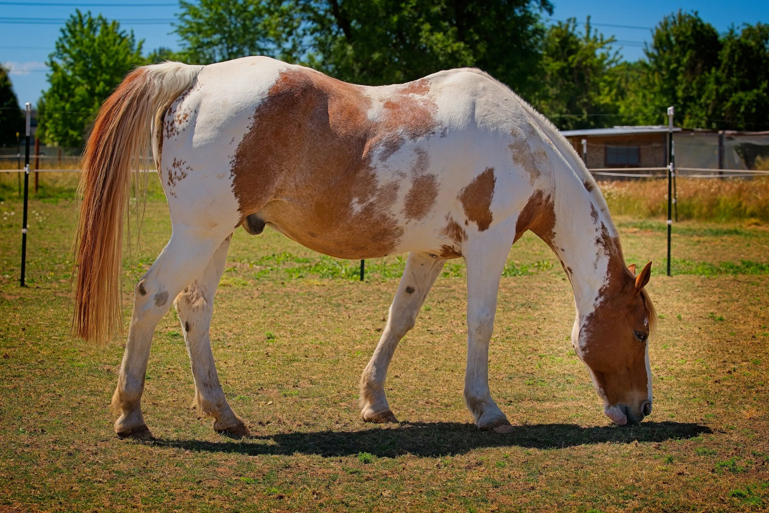 DSC_8445.jpg