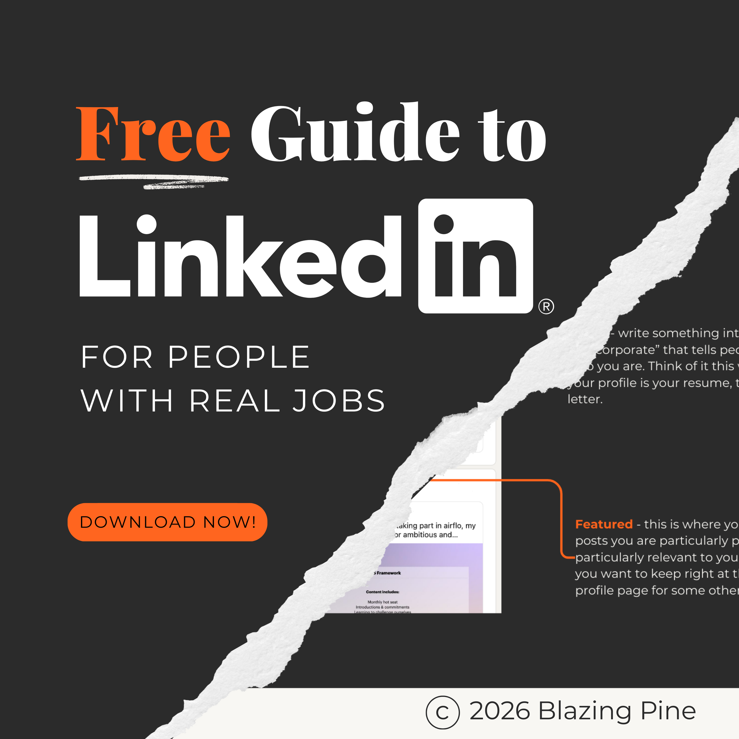 LinkedIn for People With Real Jobs