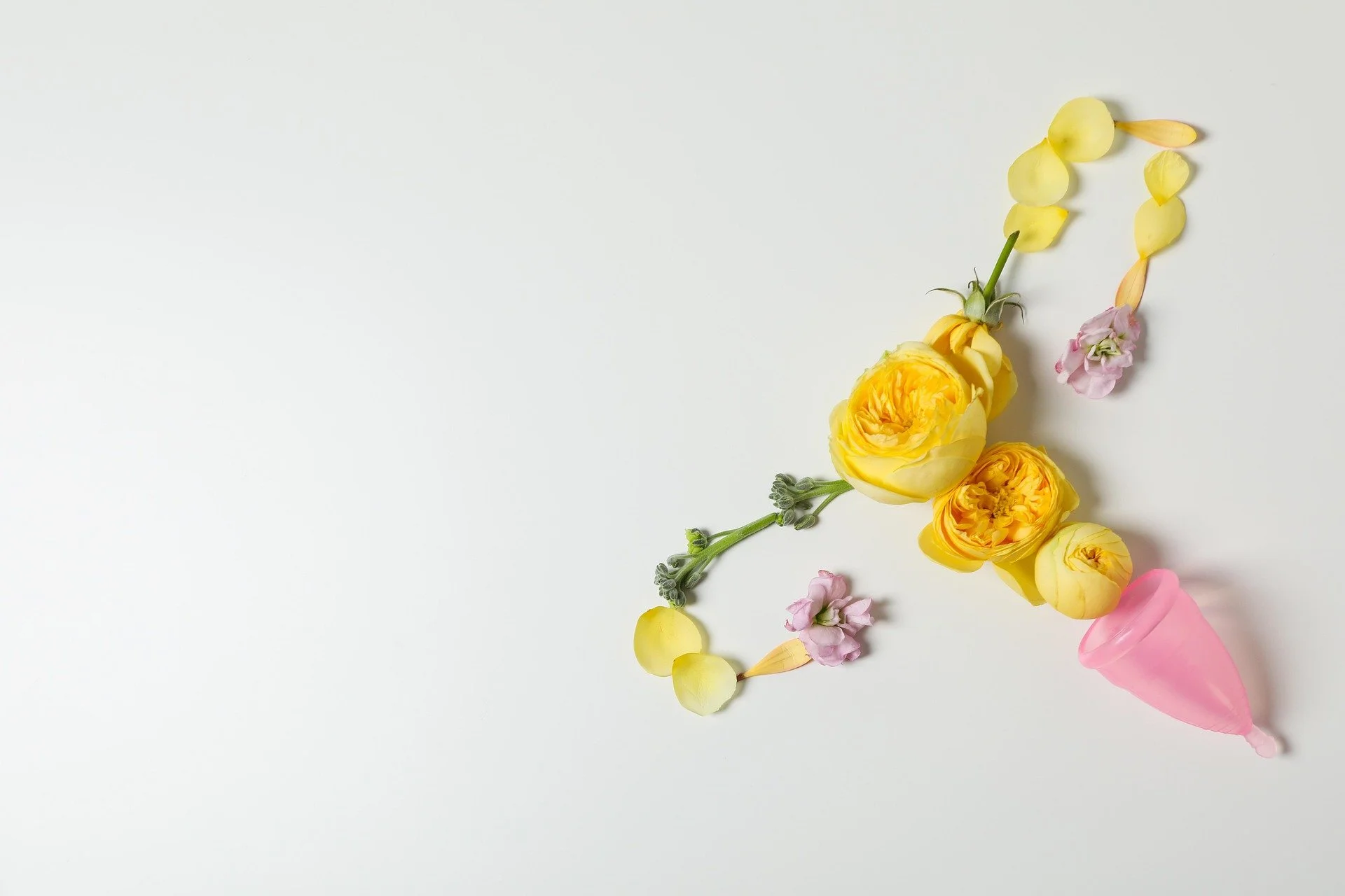 Female Microbiome Report.