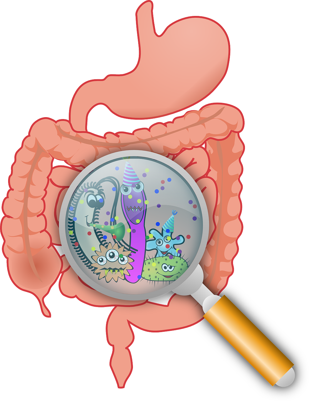 Introducing Baby &amp; Paediatric Biome, microbiome testing for children. 
